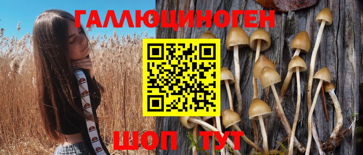 Хасавюрт  где найти наркотики  Вход с VPN  Галлюциногенные грибы Magic Shrooms 